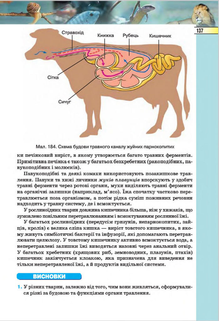 Підручник Біологія 7 клас Костіков 2015