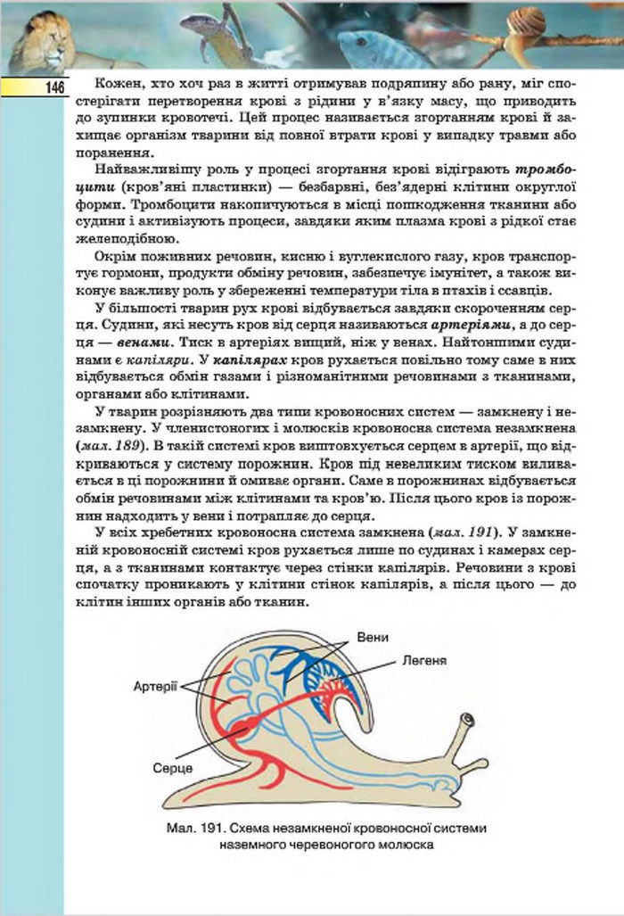 Підручник Біологія 7 клас Костіков 2015