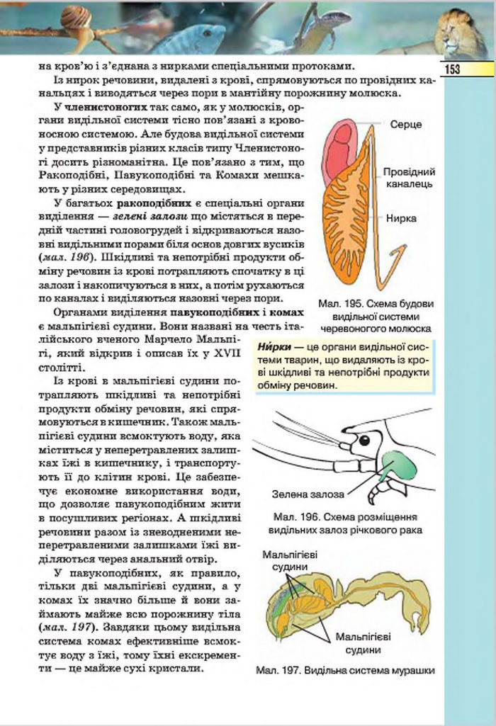 Підручник Біологія 7 клас Костіков 2015