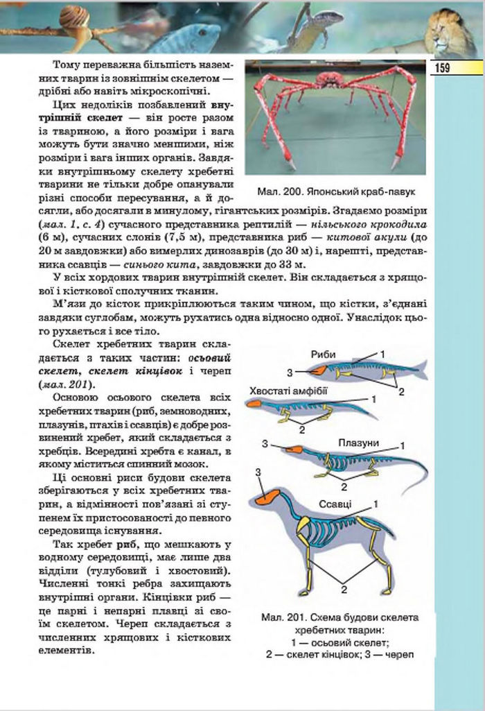 Підручник Біологія 7 клас Костіков 2015