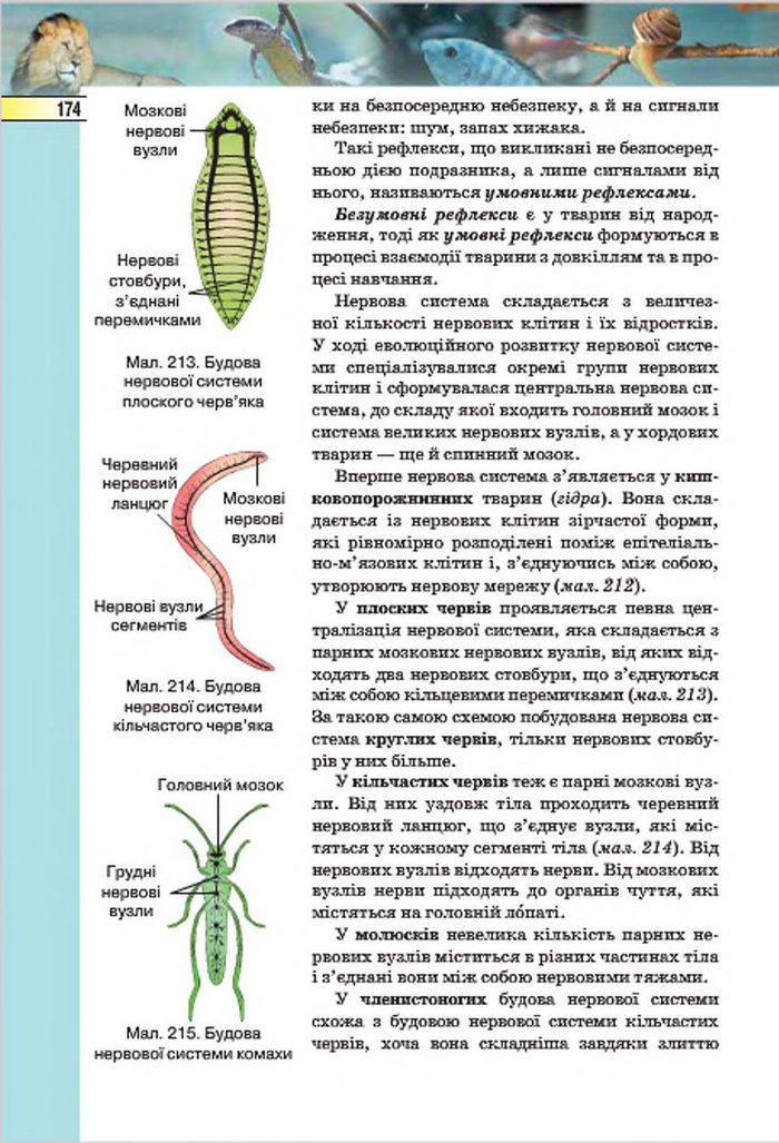 Підручник Біологія 7 клас Костіков 2015