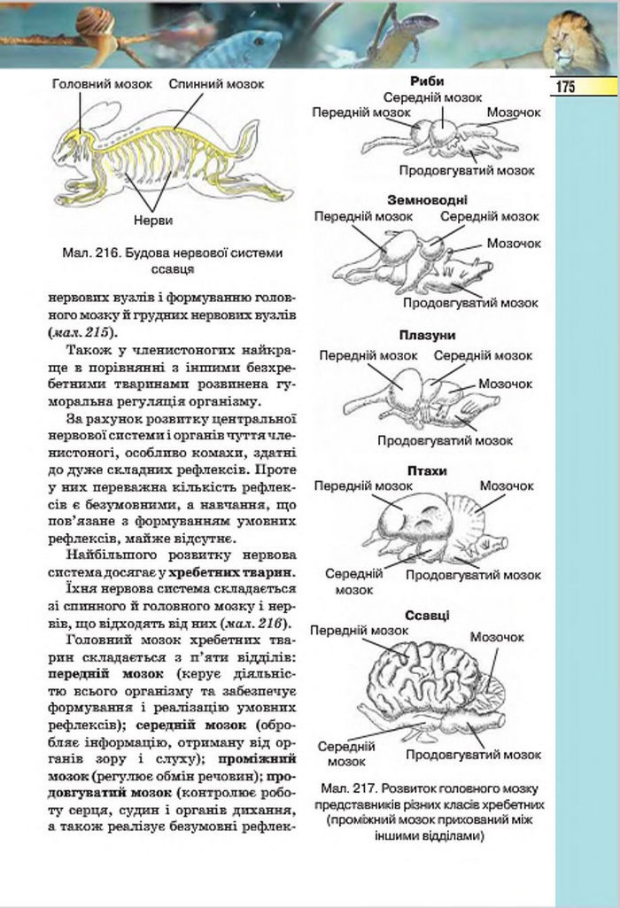 Підручник Біологія 7 клас Костіков 2015