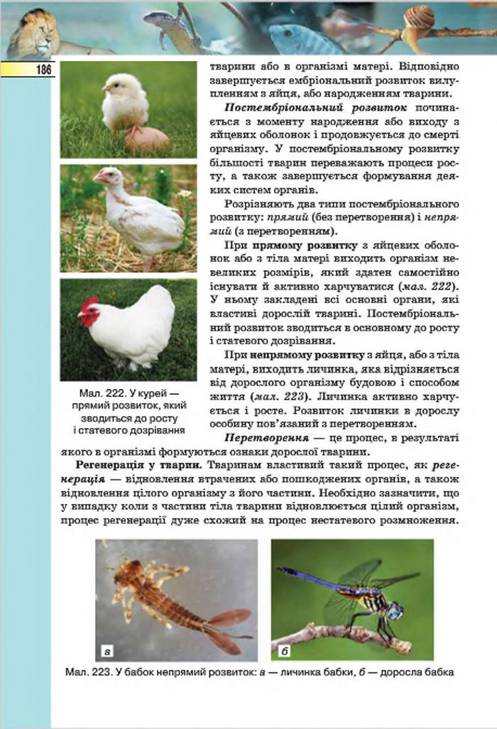 Підручник Біологія 7 клас Костіков 2015