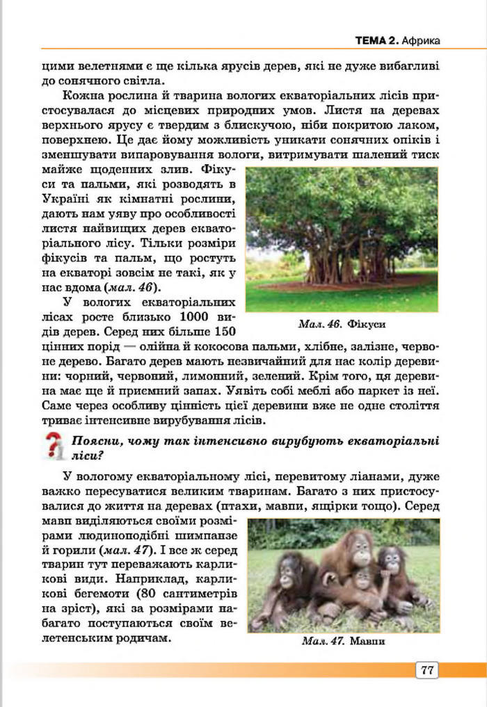 Підручник Географія 7 клас Масляк 2015