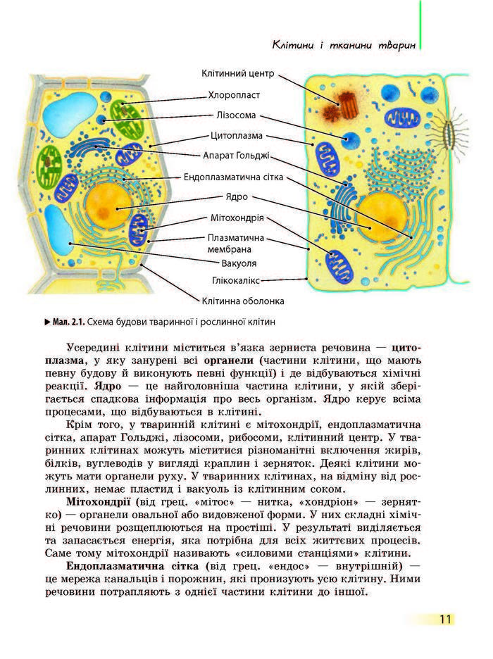 Підручник Біологія 7 клас Запорожець 2015