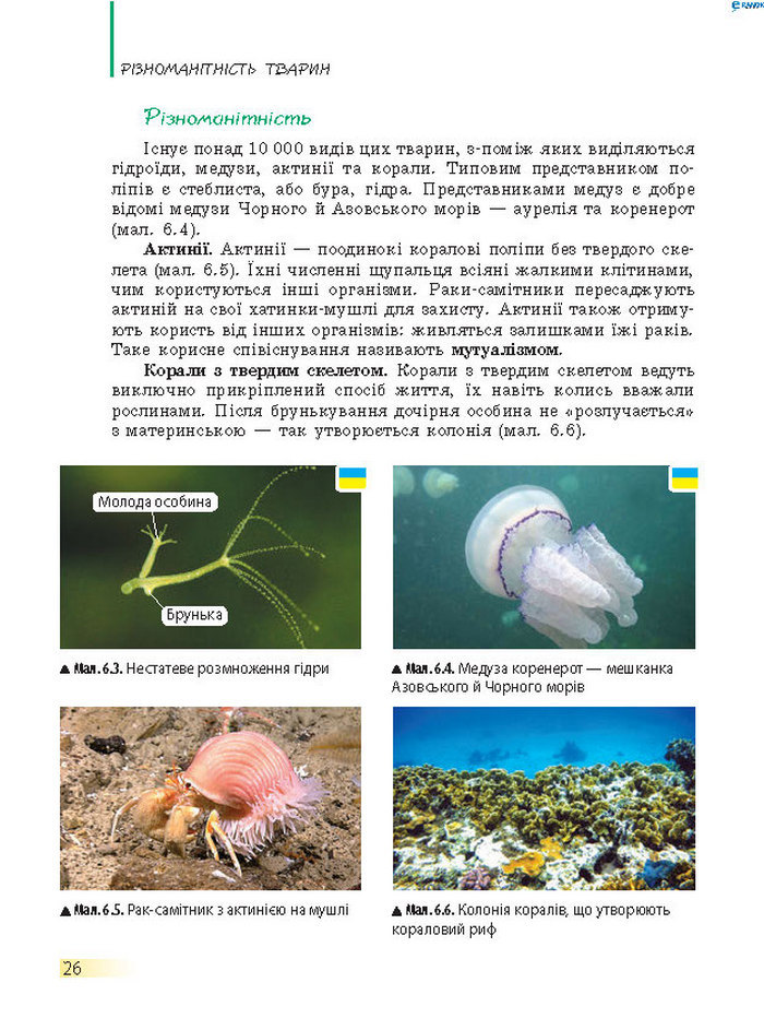 Підручник Біологія 7 клас Запорожець 2015