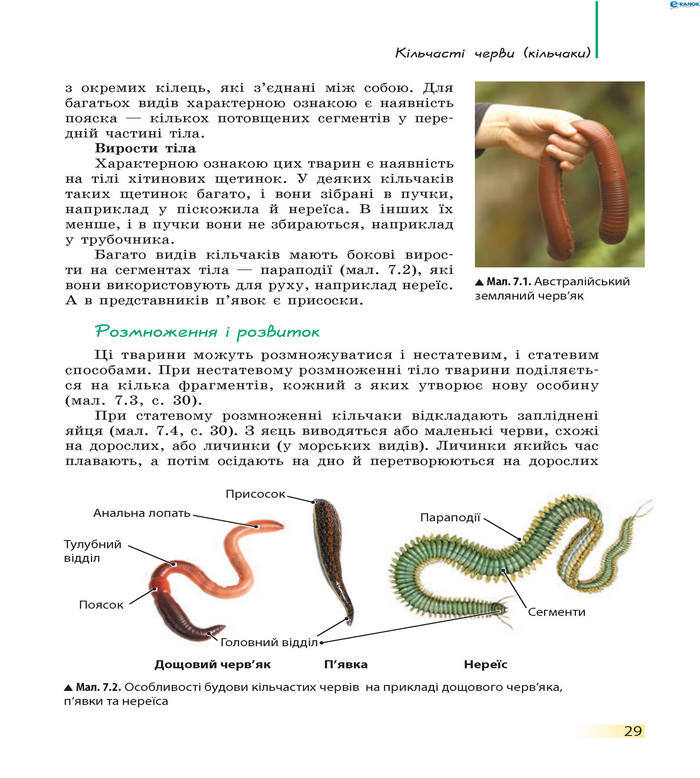 Підручник Біологія 7 клас Запорожець 2015