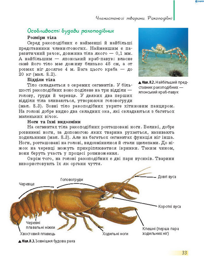 Підручник Біологія 7 клас Запорожець 2015