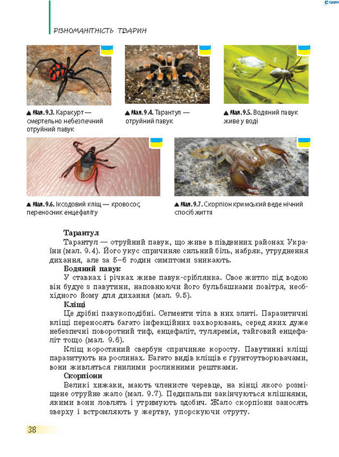 Підручник Біологія 7 клас Запорожець 2015