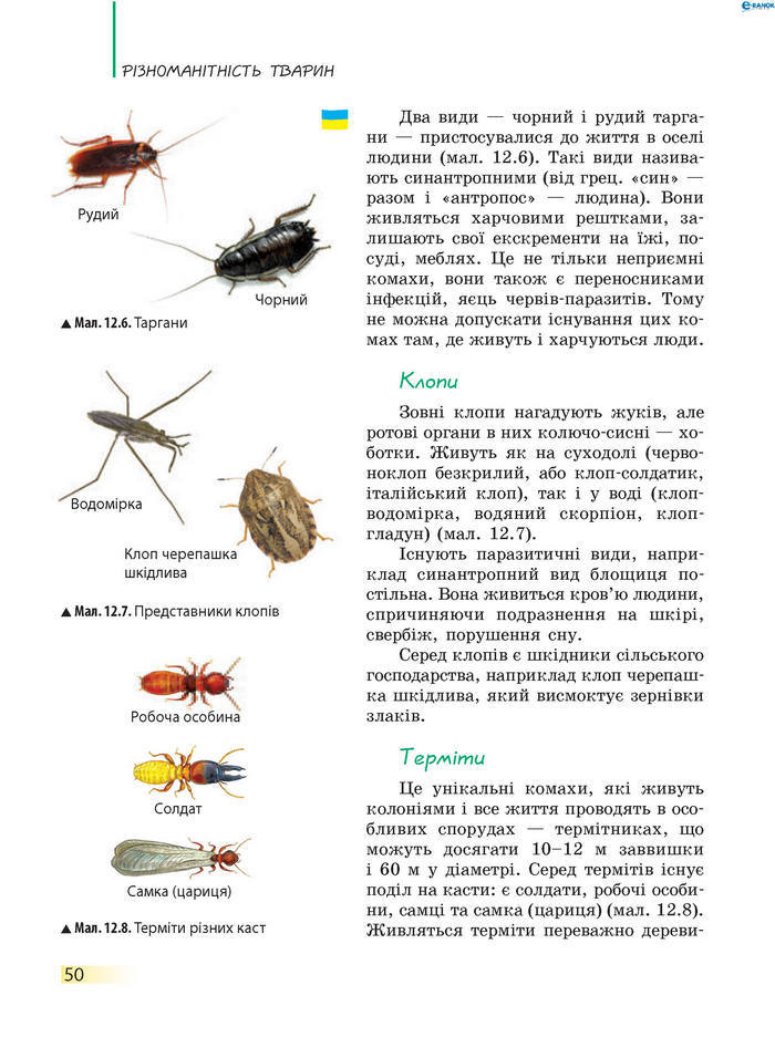 Підручник Біологія 7 клас Запорожець 2015