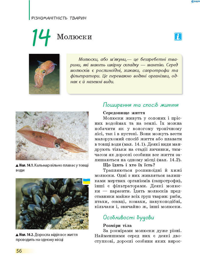Підручник Біологія 7 клас Запорожець 2015