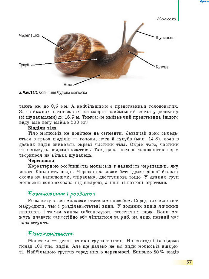 Підручник Біологія 7 клас Запорожець 2015