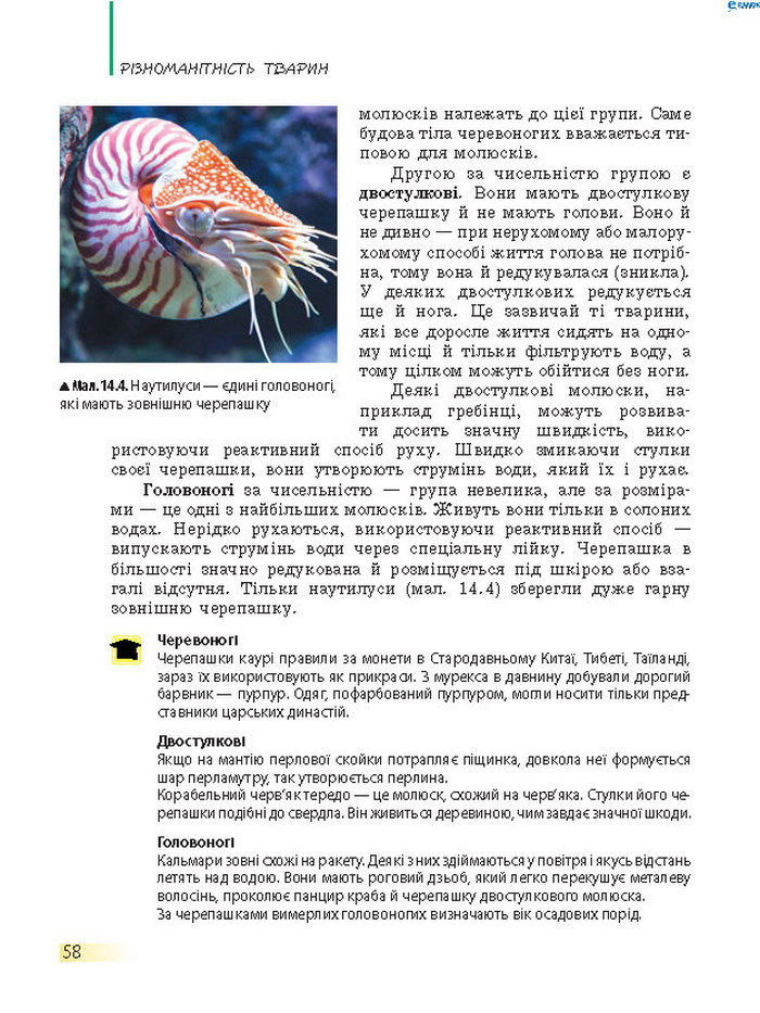 Підручник Біологія 7 клас Запорожець 2015