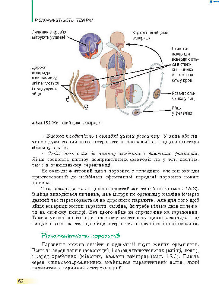 Підручник Біологія 7 клас Запорожець 2015