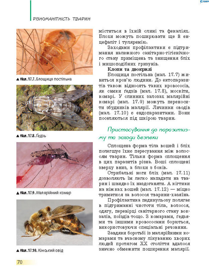 Підручник Біологія 7 клас Запорожець 2015
