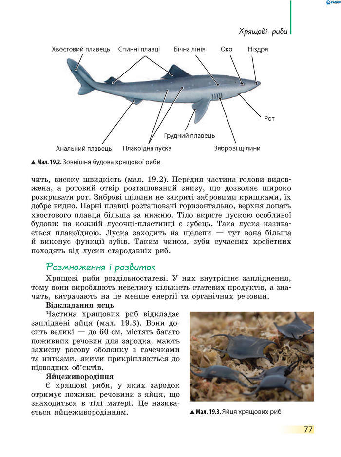 Підручник Біологія 7 клас Запорожець 2015