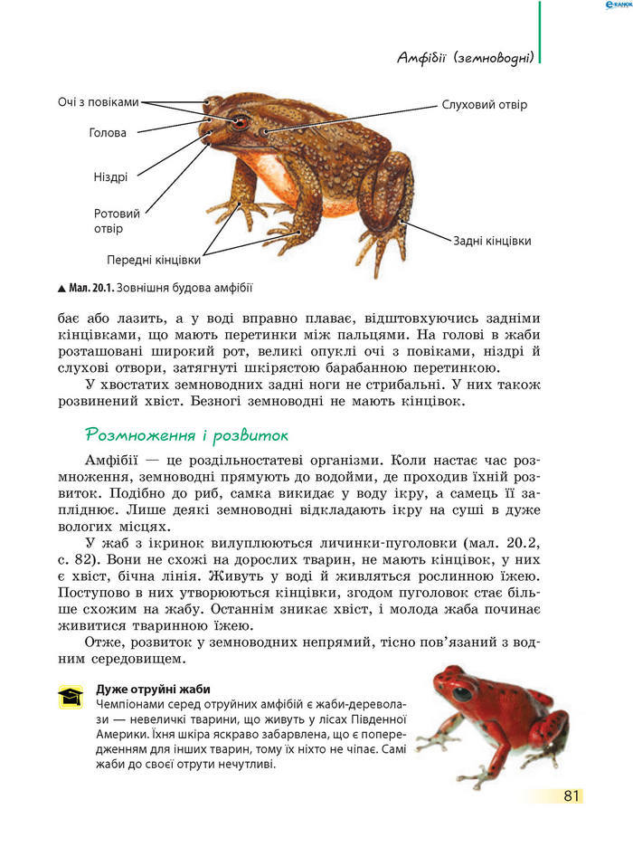 Підручник Біологія 7 клас Запорожець 2015