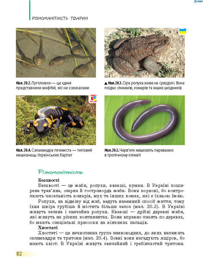 Підручник Біологія 7 клас Запорожець 2015