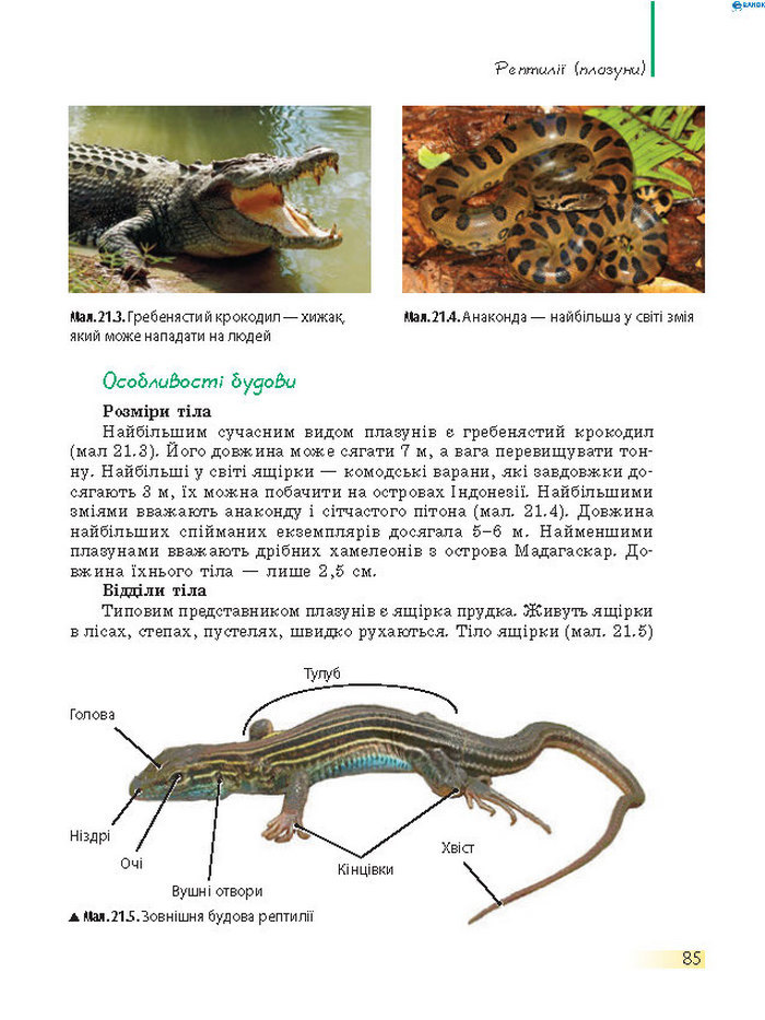 Підручник Біологія 7 клас Запорожець 2015