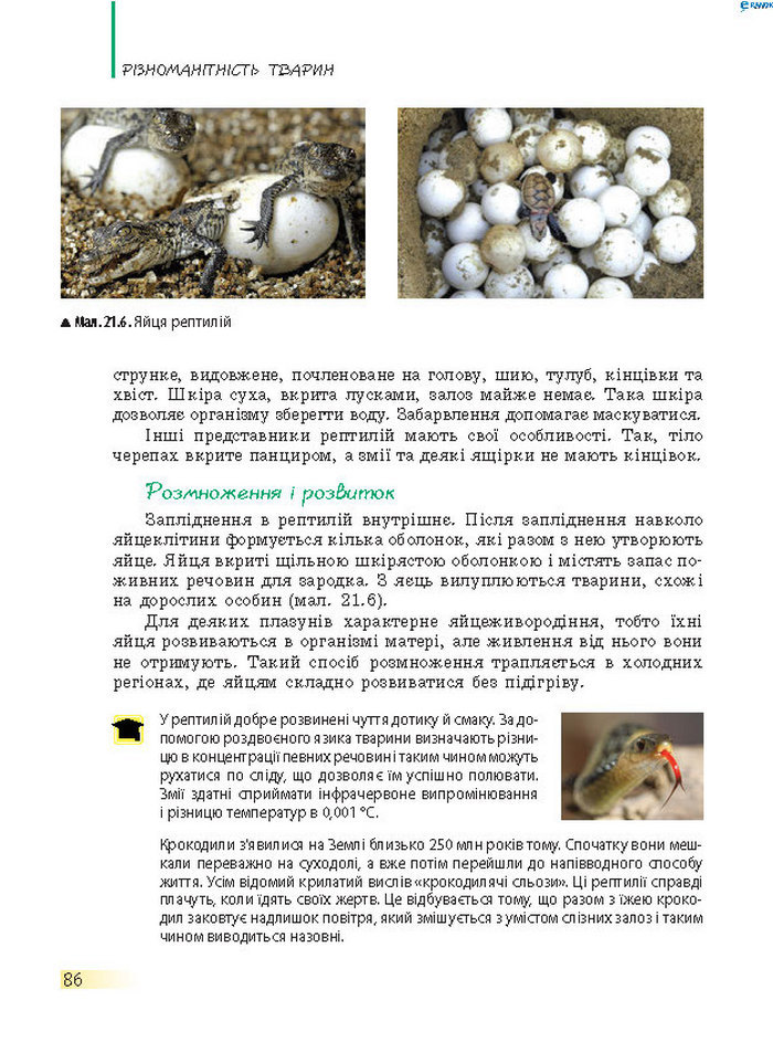 Підручник Біологія 7 клас Запорожець 2015