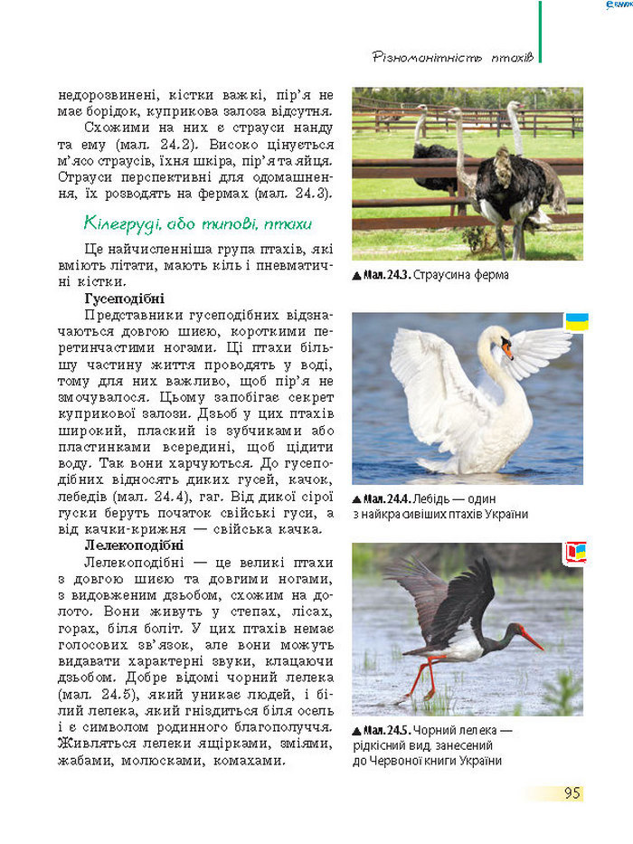 Підручник Біологія 7 клас Запорожець 2015