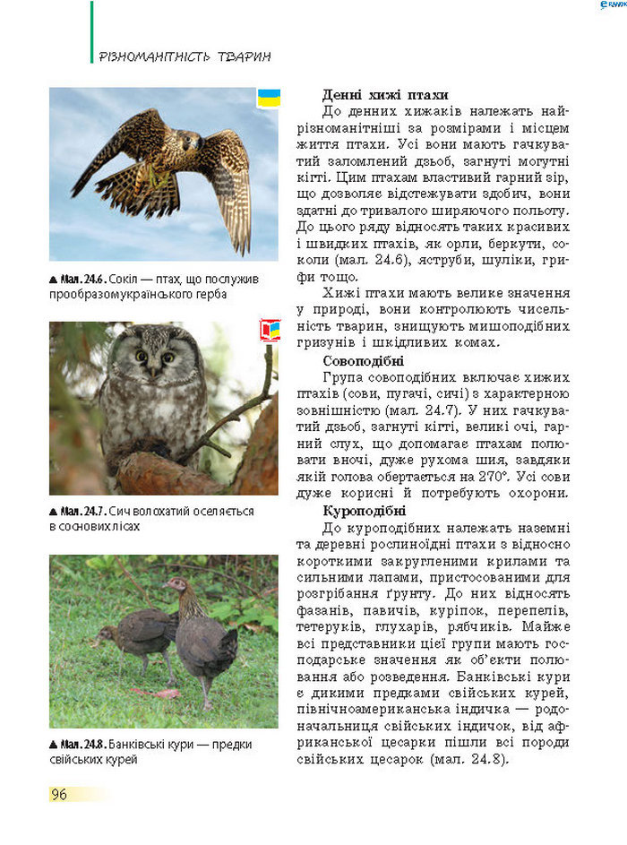 Підручник Біологія 7 клас Запорожець 2015
