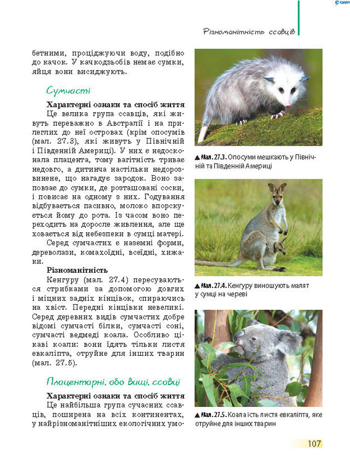 Підручник Біологія 7 клас Запорожець 2015