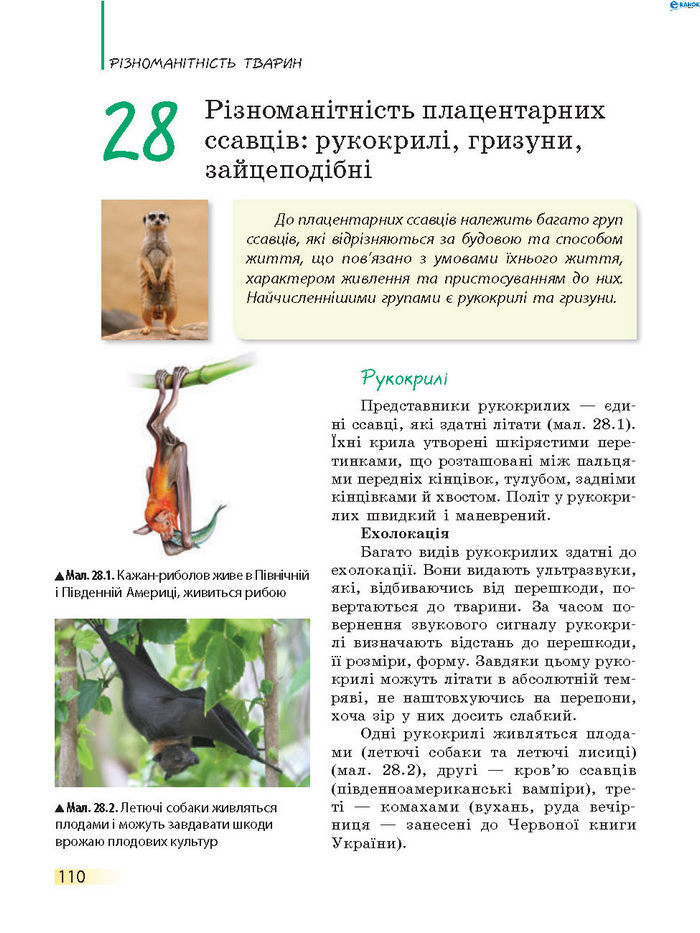 Підручник Біологія 7 клас Запорожець 2015