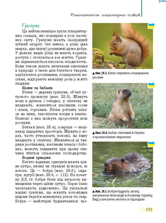 Підручник Біологія 7 клас Запорожець 2015