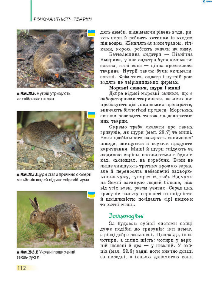 Підручник Біологія 7 клас Запорожець 2015