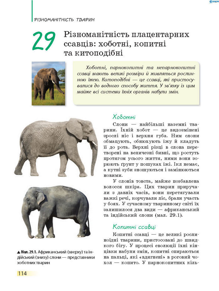 Підручник Біологія 7 клас Запорожець 2015