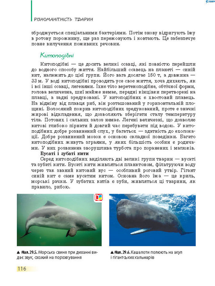 Підручник Біологія 7 клас Запорожець 2015