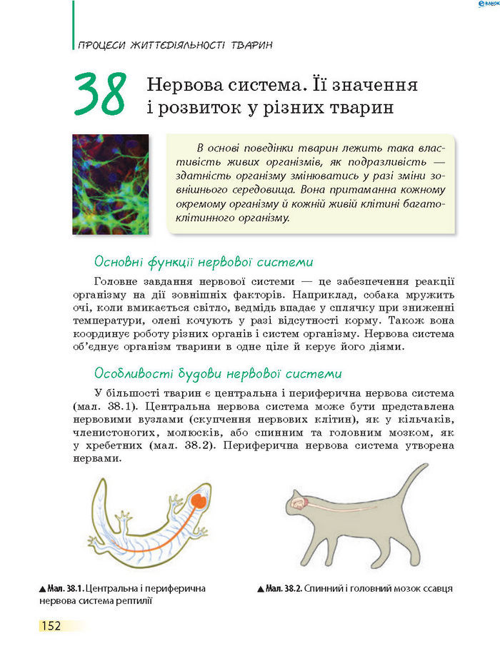 Підручник Біологія 7 клас Запорожець 2015