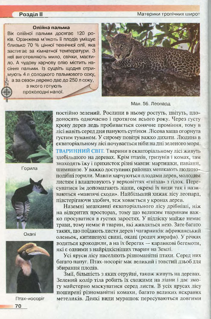 Підручник Географія 7 клас Бойко 2015