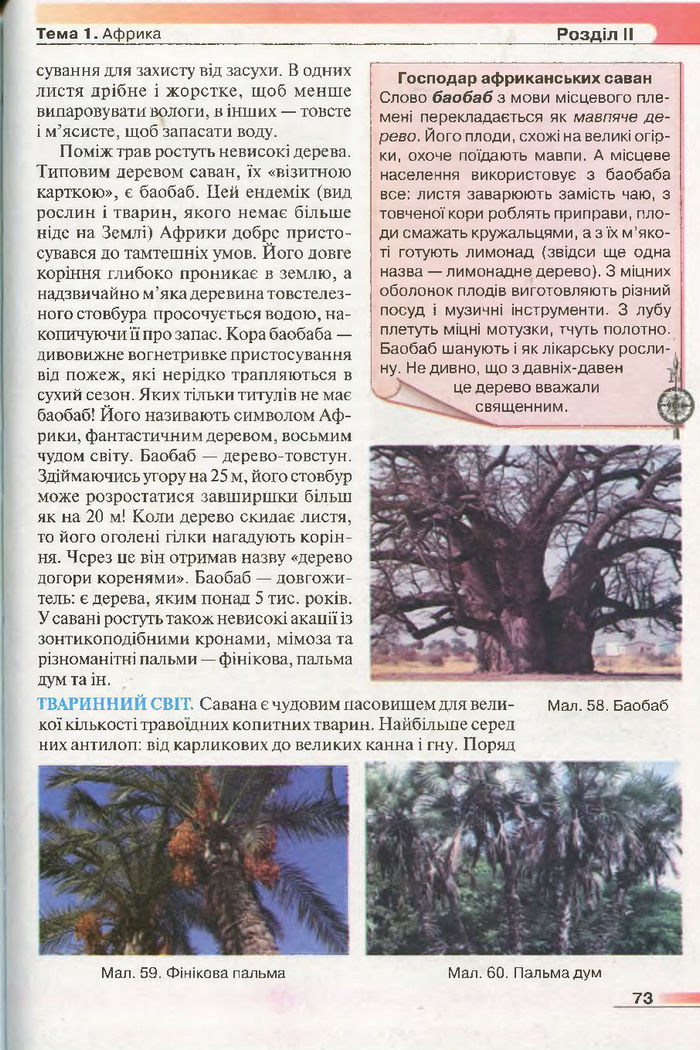 Підручник Географія 7 клас Бойко 2015