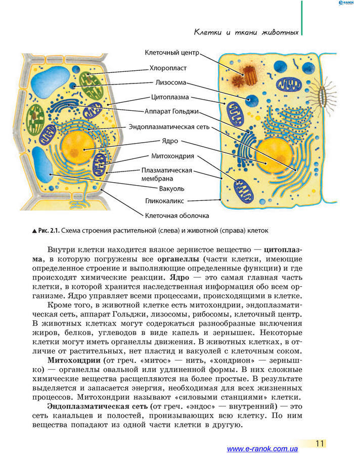 Биология 7 класс Запорожец 2015 (Рус.)