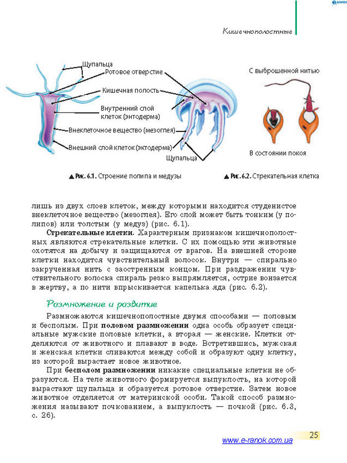 Биология 7 класс Запорожец 2015 (Рус.)