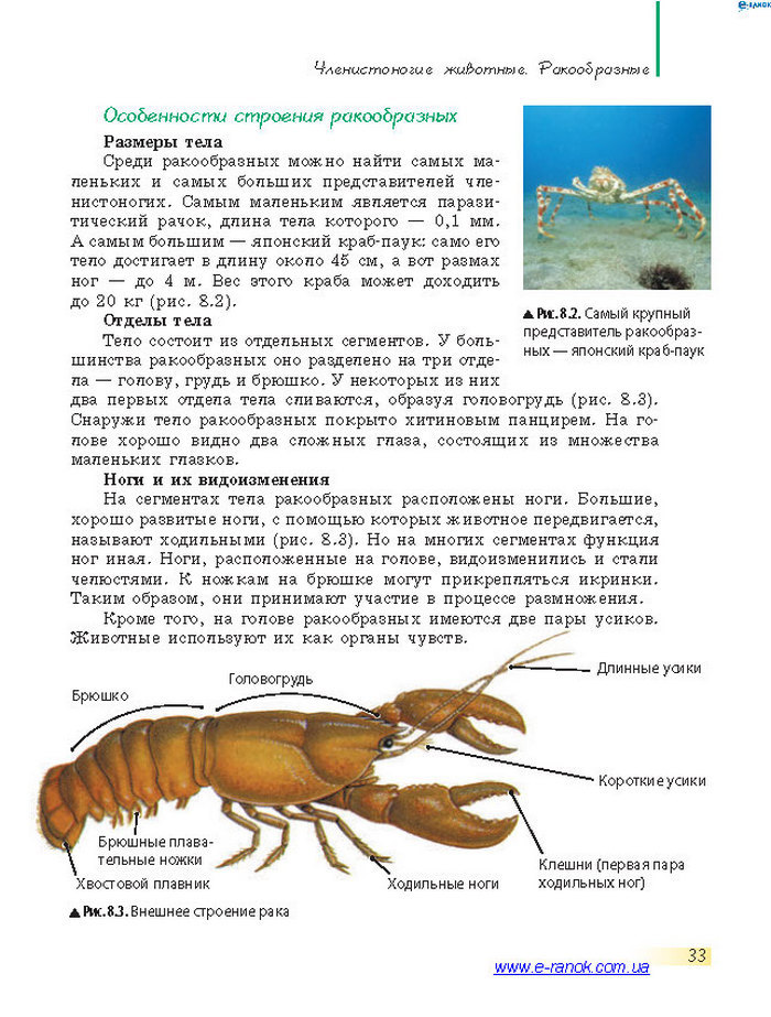 Биология 7 класс Запорожец 2015 (Рус.)