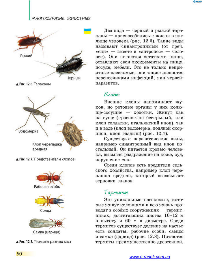 Биология 7 класс Запорожец 2015 (Рус.)