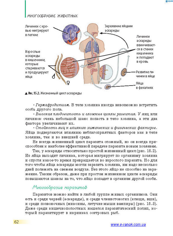 Биология 7 класс Запорожец 2015 (Рус.)