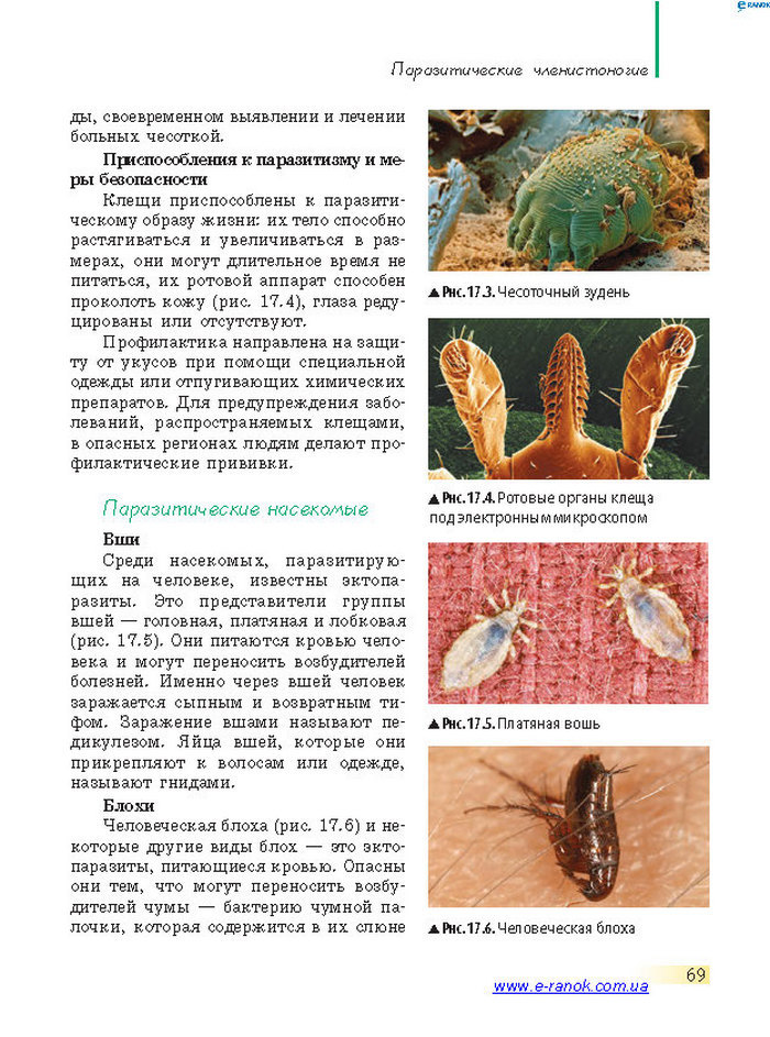 Биология 7 класс Запорожец 2015 (Рус.)