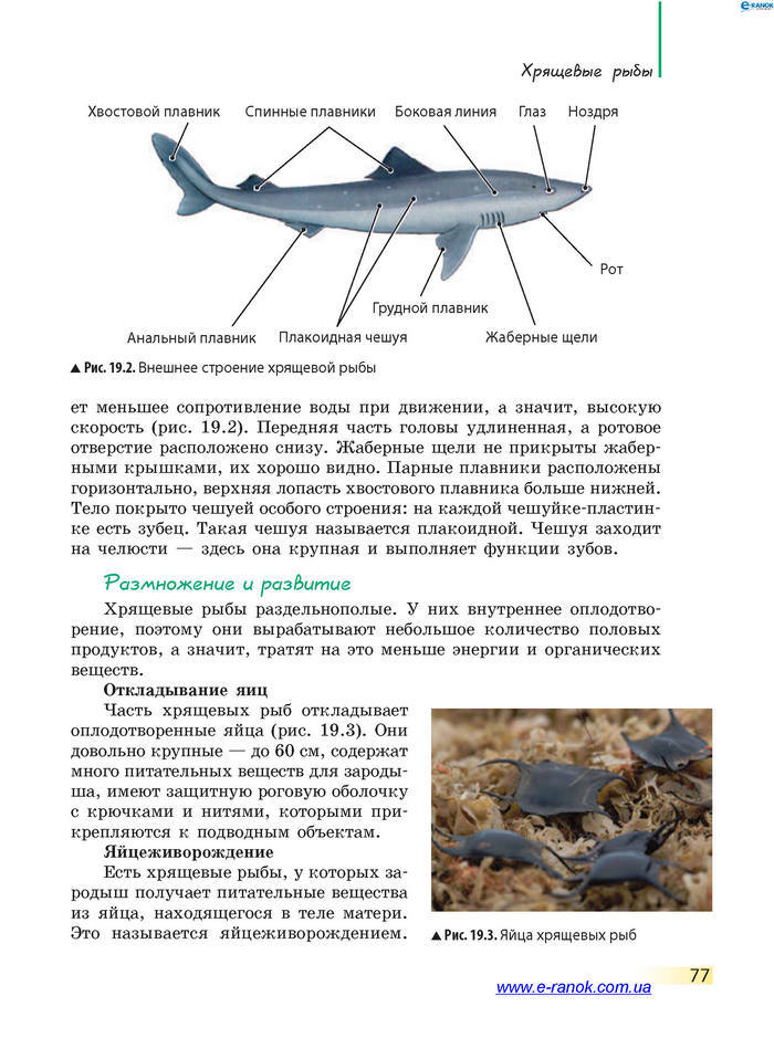 Биология 7 класс Запорожец 2015 (Рус.)