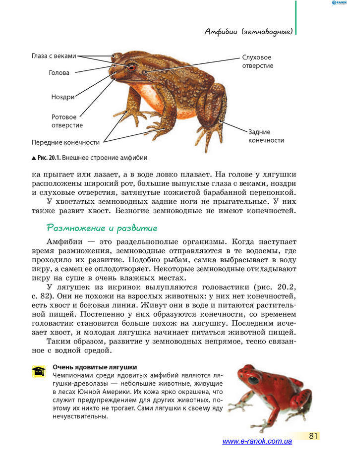 Биология 7 класс Запорожец 2015 (Рус.)