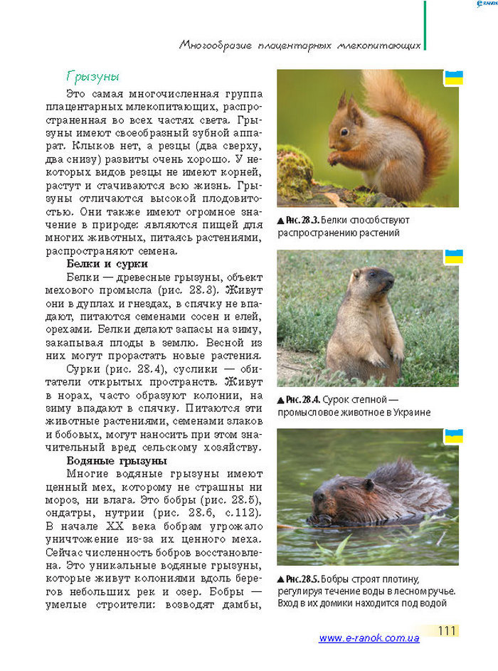 Биология 7 класс Запорожец 2015 (Рус.)