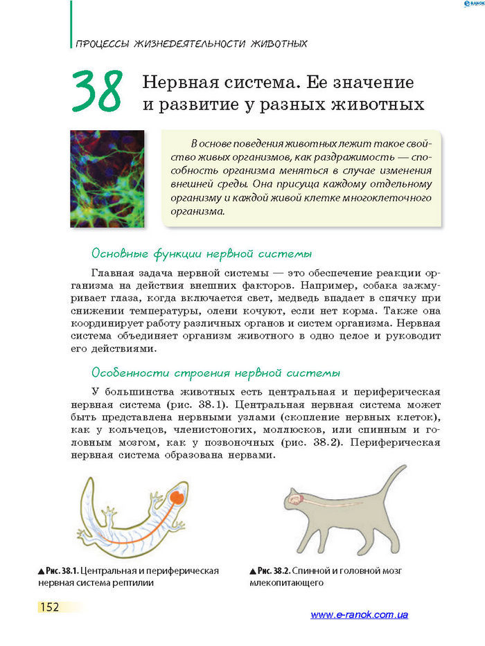 Биология 7 класс Запорожец 2015 (Рус.)