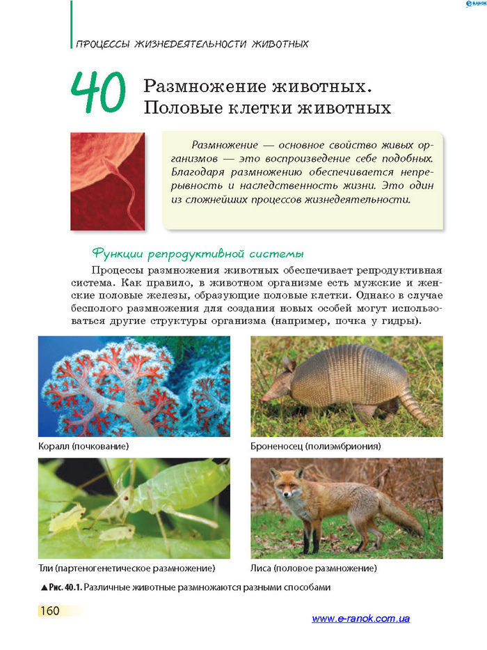 Биология 7 класс Запорожец 2015 (Рус.)
