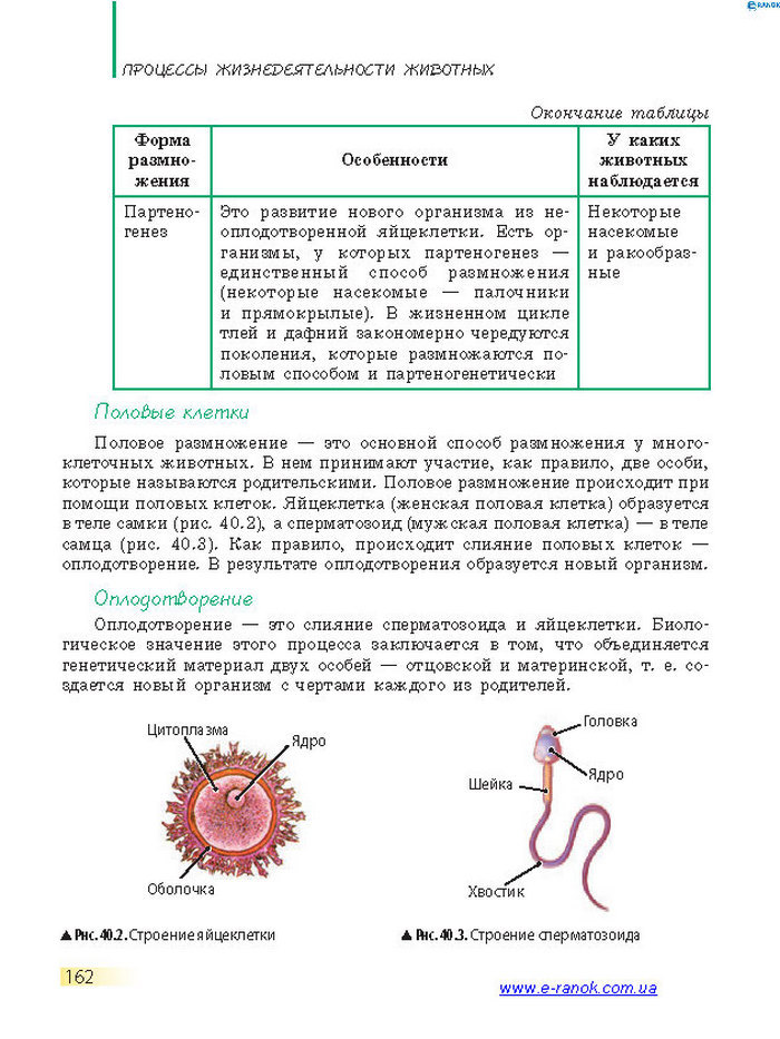 Биология 7 класс Запорожец 2015 (Рус.)