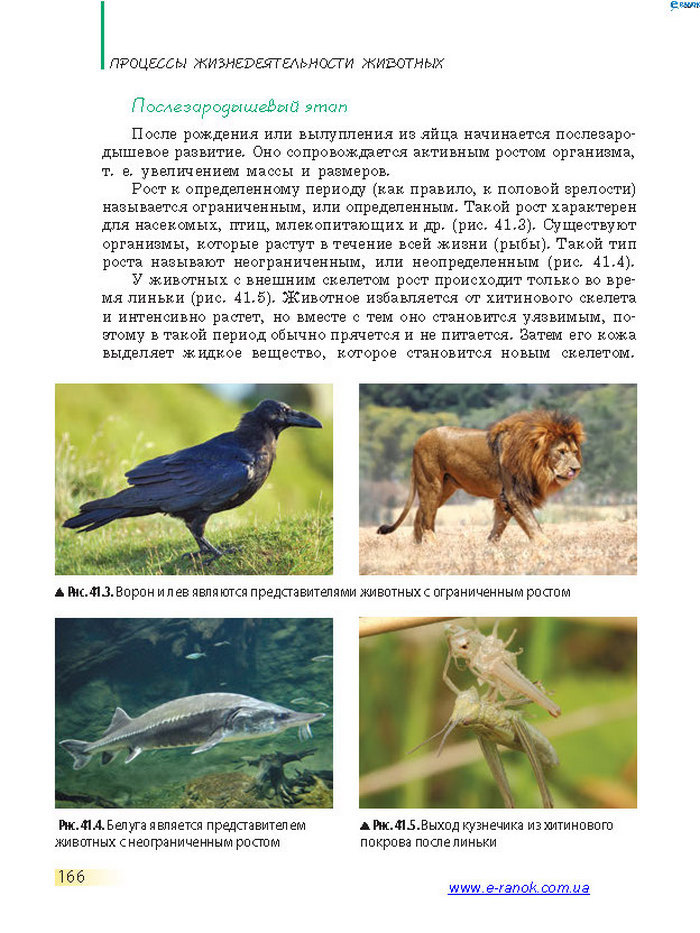 Биология 7 класс Запорожец 2015 (Рус.)