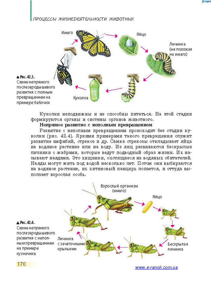 Биология 7 класс Запорожец 2015 (Рус.)