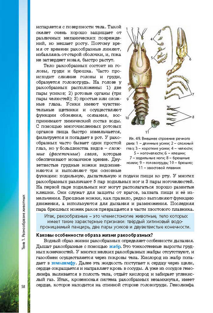 Биология 7 класс Соболь 2015 (Рус.)